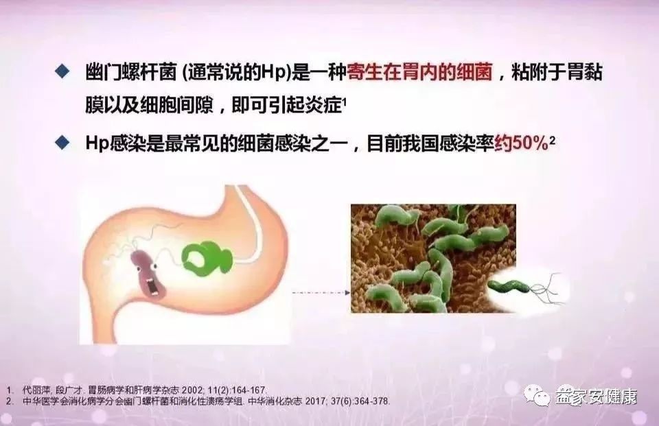 什么是幽门螺杆菌